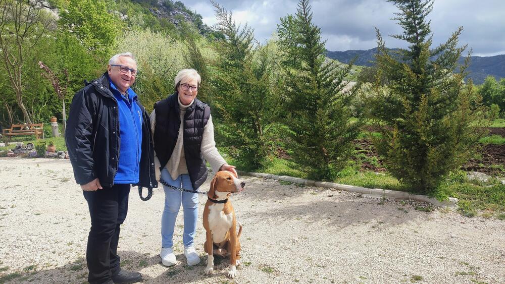 <p>Puno stranaca živi u vazdušnoj banji - Rusa, Ukrajinaca, Poljaka, Njemaca, Holanđana, čak i Novozelanđana...</p>