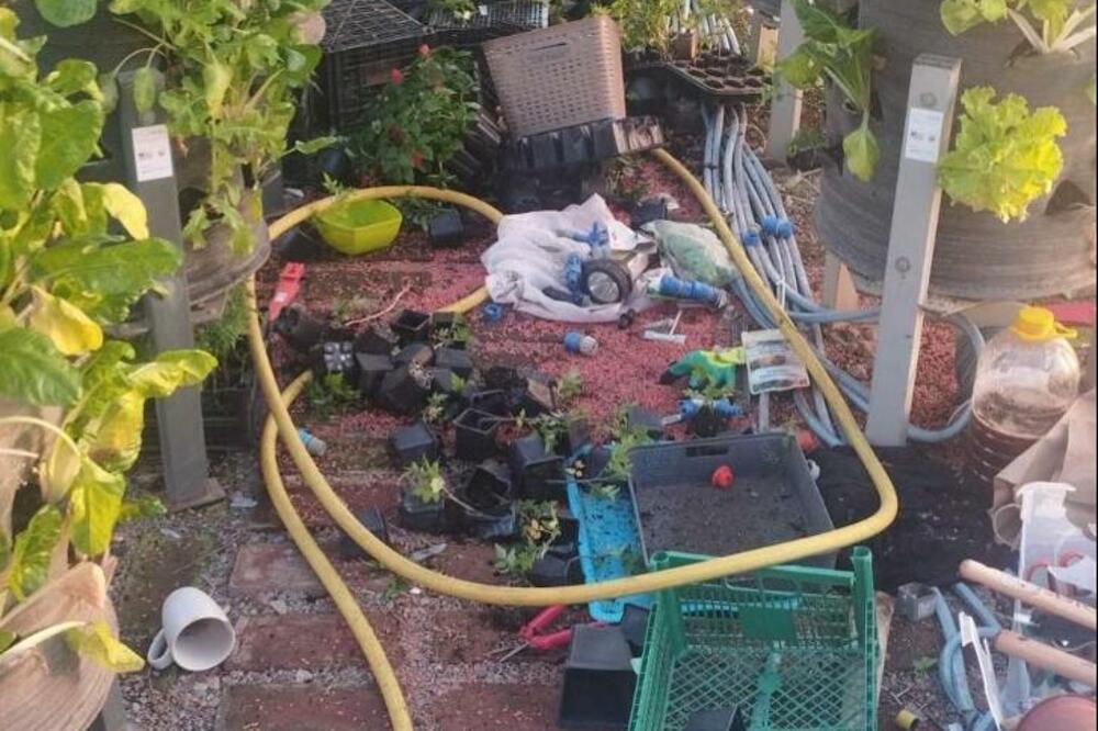 Foto: Facebook/Urbana Bašta Podgorica