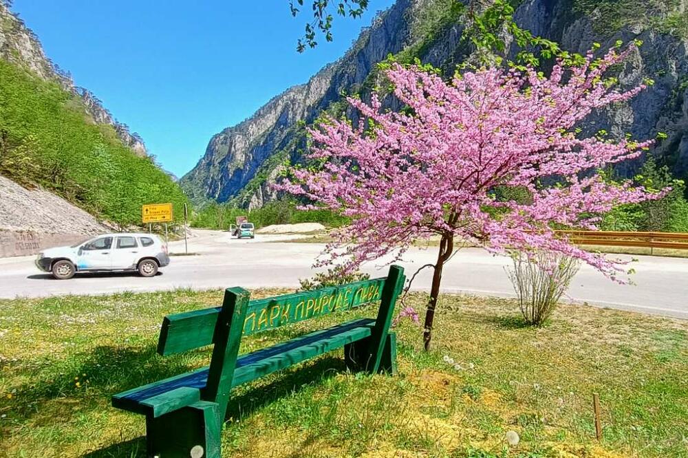 Detalj iz PP "Piva", Foto: Park prirode Piva