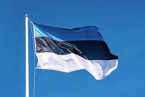 Estonia introduces mobile phone voting in elections