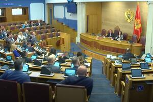 Sharp debate between DPS and PES MPs: "You will lead seriously...