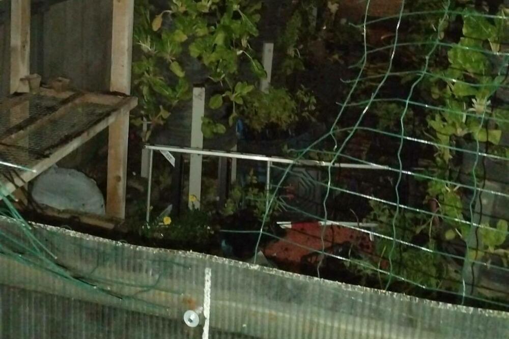 Isječena je metalna mreža na vratima, navode u prijavi, Foto: Facebook/Urbana bašta Podgorica