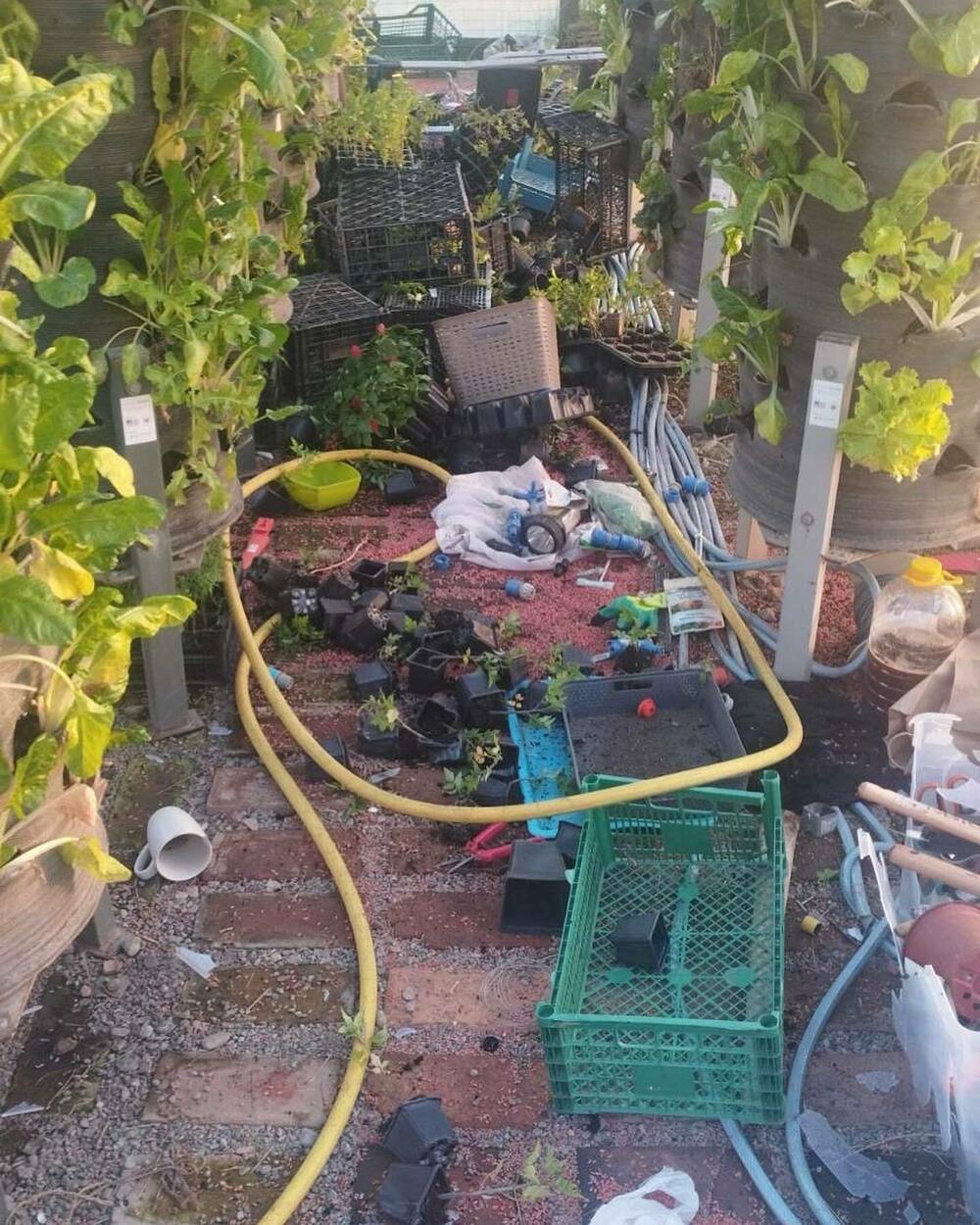 Nered koji je zatekla volonterka kad je došla da zalije baštu