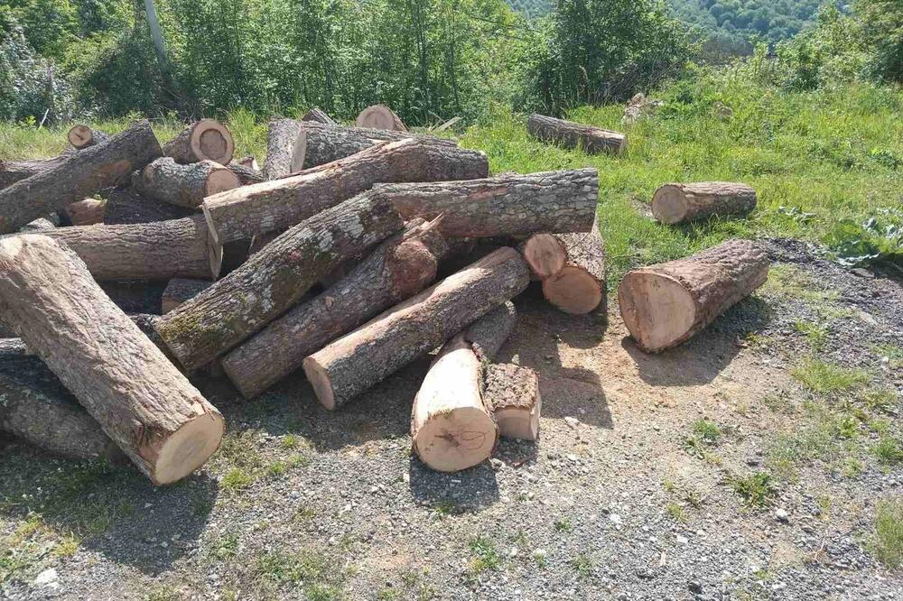 Foto: Uprava za gazdovanje šumama i lovištima