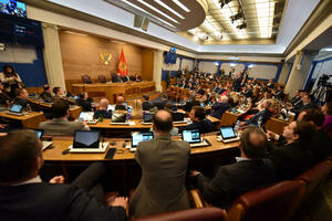 BLOG Spajić: We will vote for the resolution, all our partners are...