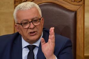 Mandić: Political representatives of the Serbian people will propose to the Assembly...