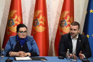 Spajić: I korisnici srazmjernih penzija će primati minimalnu...