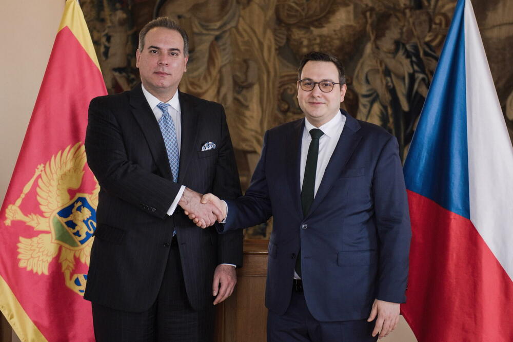 Ivanović i Lipavski, Foto: MFACZ