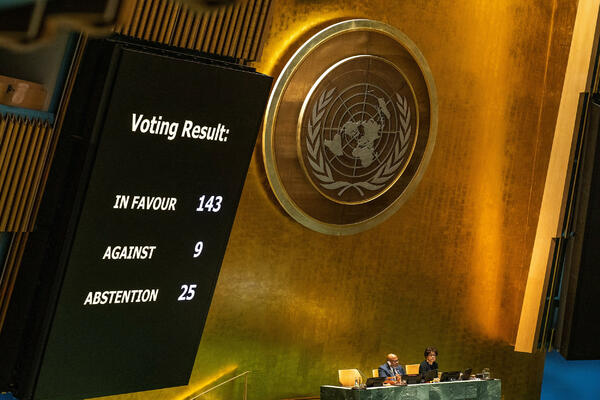 Podrška za članstvo Palestine u Generalnoj skupštini UN: I Crna...