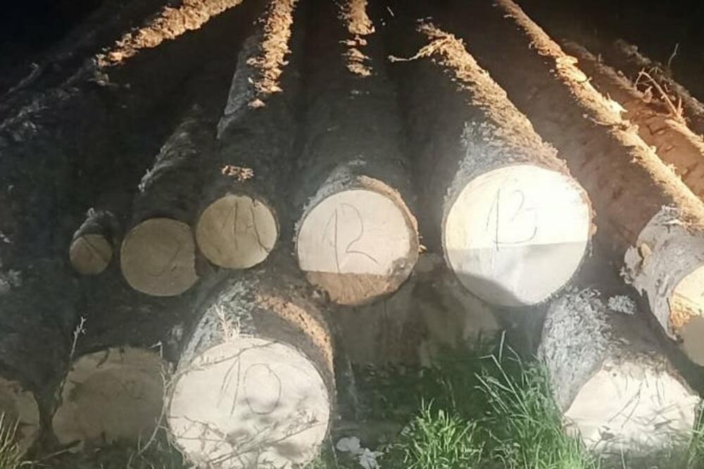 Foto: Uprava za gazdovanje šumama i lovištima Crne Gore