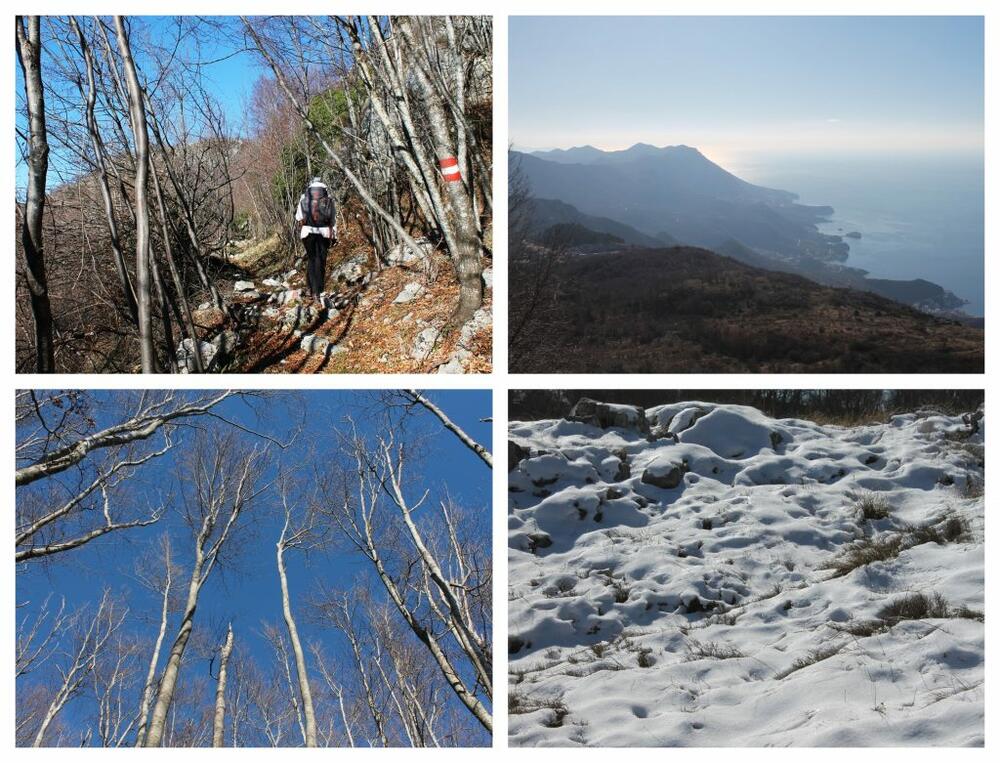 Kuliješ Jasnina putovanja