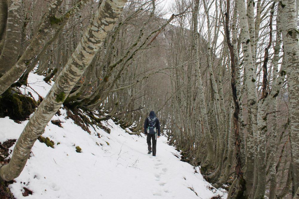 Kuliješ Jasnina putovanja