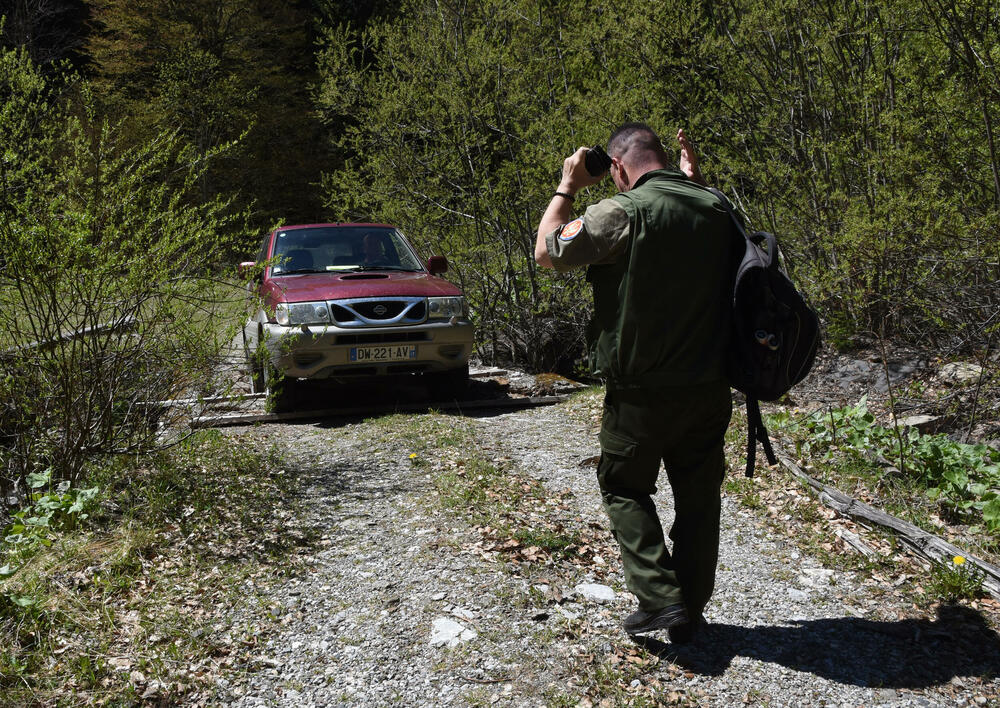 <p>Jedan od ključnih neprijatelja su potkornjaci, mali insekti koji se hrane drvećem. Sa Bjelega se jasno vidi da decenijski problem ilegalne sječe nije prisutan u tom kraju</p>