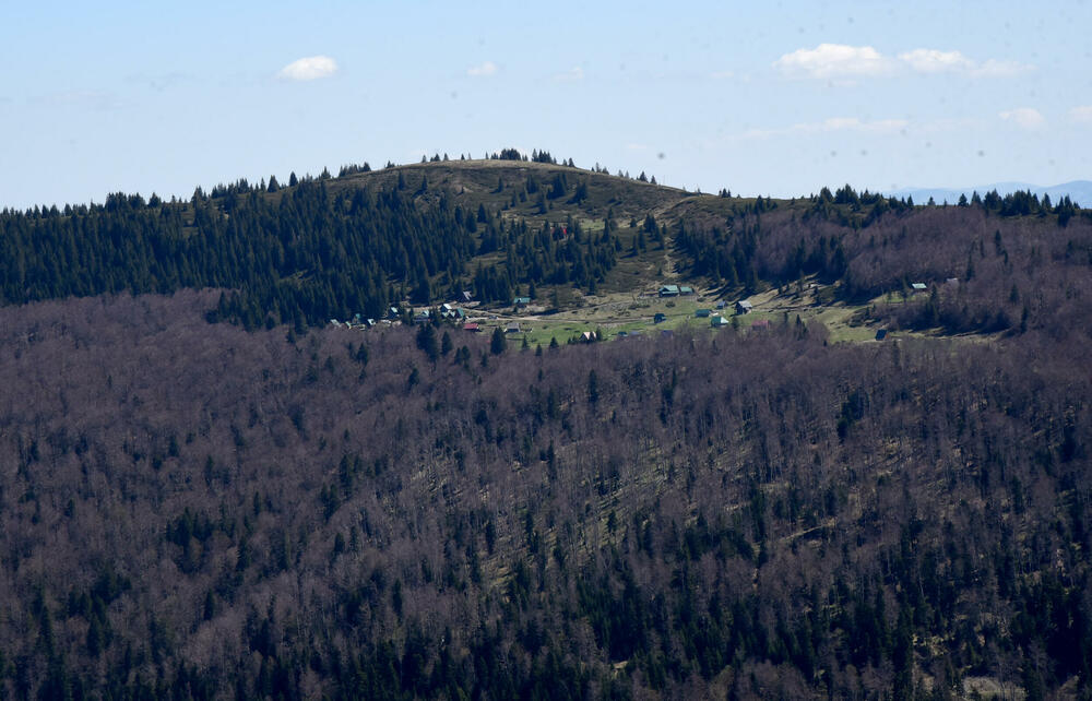 <p>Jedan od ključnih neprijatelja su potkornjaci, mali insekti koji se hrane drvećem. Sa Bjelega se jasno vidi da decenijski problem ilegalne sječe nije prisutan u tom kraju</p>