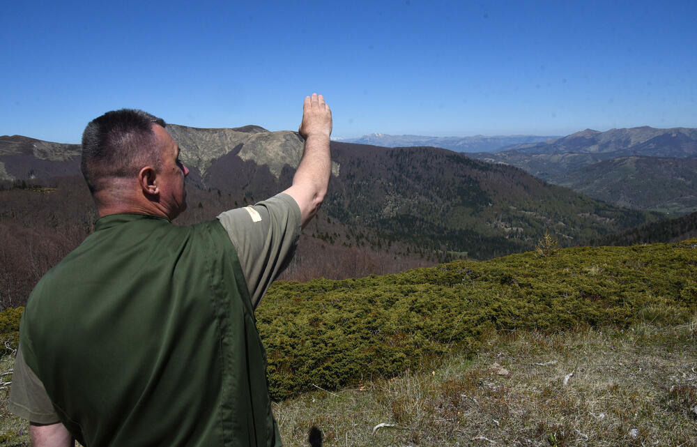 <p>Jedan od ključnih neprijatelja su potkornjaci, mali insekti koji se hrane drvećem. Sa Bjelega se jasno vidi da decenijski problem ilegalne sječe nije prisutan u tom kraju</p>