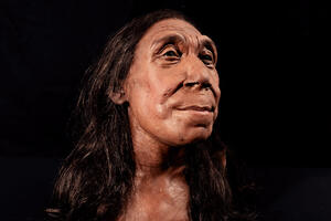 Face of 75.000-year-old Neanderthal woman revealed
