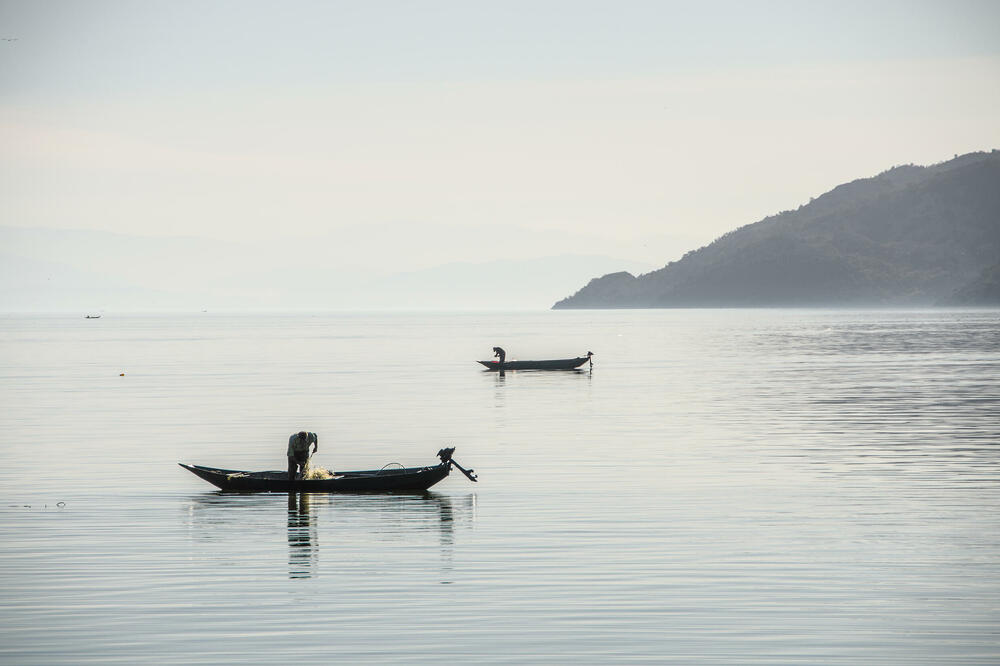 Detalj sa Skadarskog jezera, Foto: Shutterstock