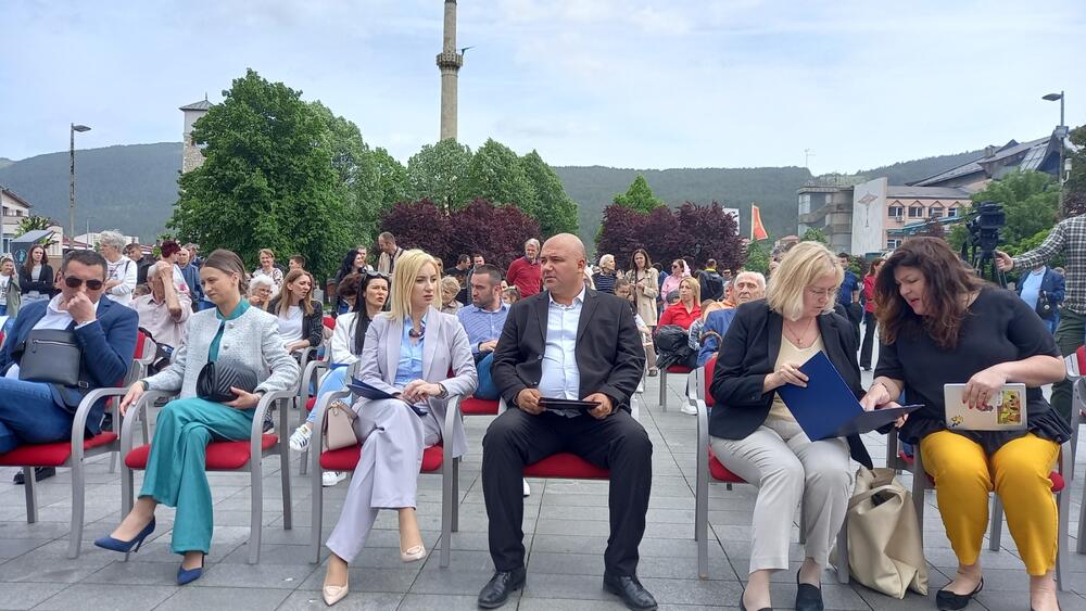 Evropski đir Pljevlja