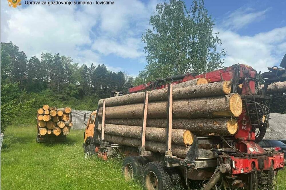 Zahvaljujući tajnim kamerama otkrivena dva kamiona, Foto: Uprava za gazdovanje šumama i lovištima Crne Gore
