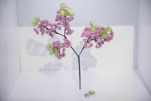 Izložba Ekatarine Romanove u Prirodnjačkom muzeju: Zapanjujuća...