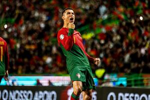 I Martines i Ragnik objavili spiskove za EP: Portugal sa Ronaldom...