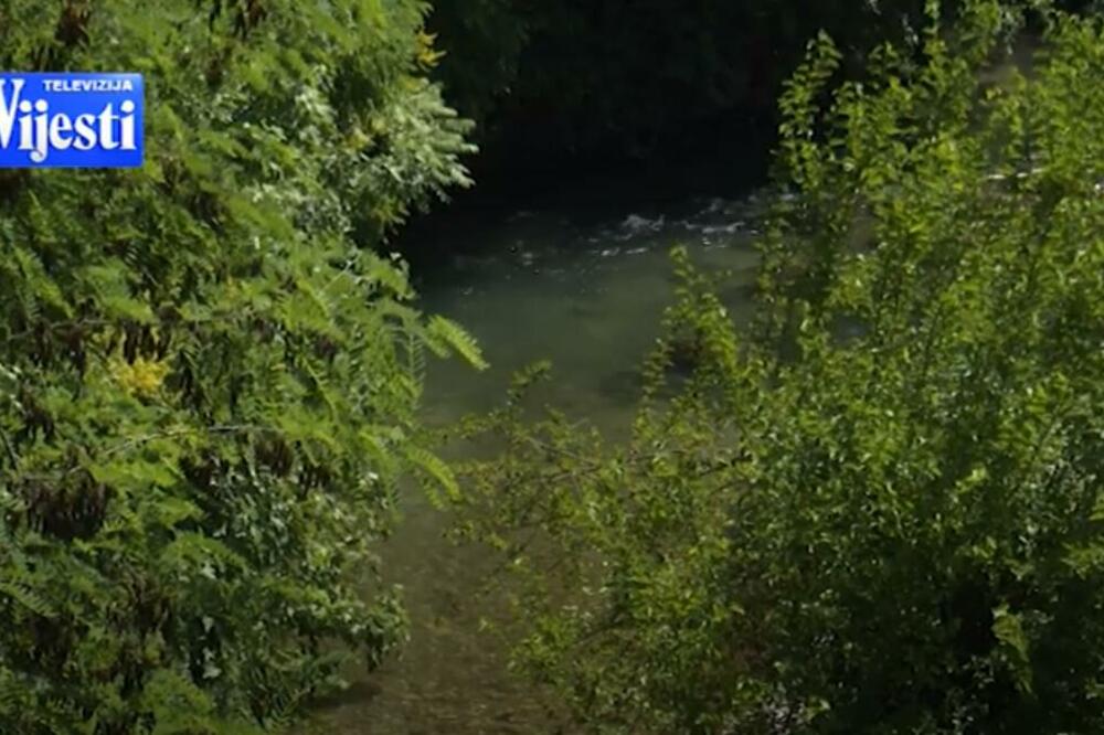 Foto: Printscreen/YouTube/TV Vijesti
