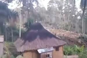 U klizištu u Papui Novoj Gvineji strahuje se da je stradalo više...