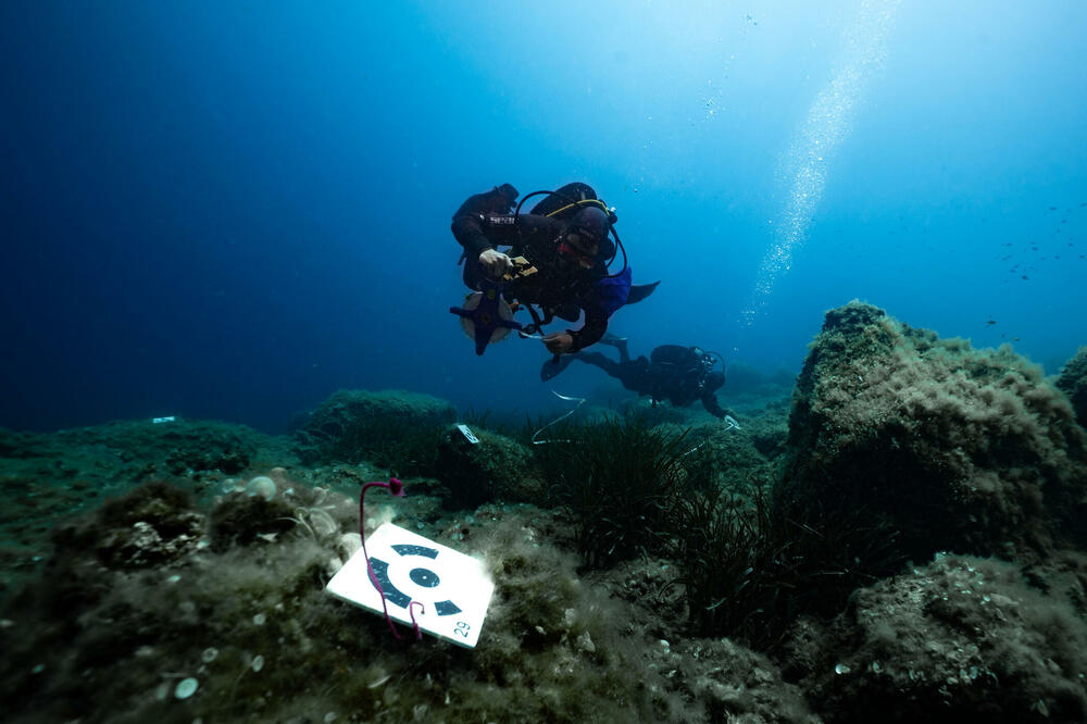 Hidroarhelozi tokom rada na jednom od lokaliteta u podmorju Boke, Foto: LAP Kotor