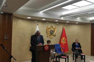 Mandić: Iskustva i preporuke OEBS-a pomogli u izgradnji...