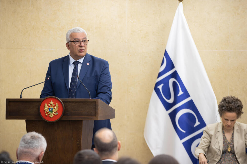 Mandić, Foto: Skupština Crne Gore/M.Matković