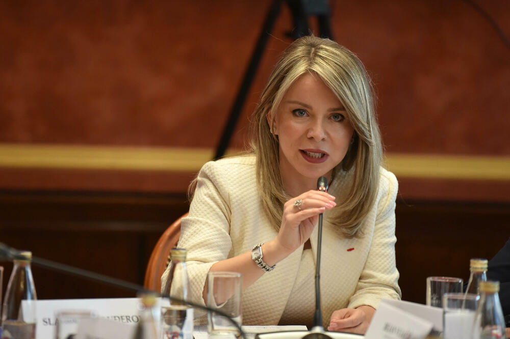 Oštre kazne za nepoštovanje zakona: Radović, Foto: Boris Pejović