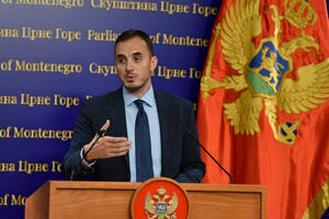 Konatar: Crna Gora je bliža vanrednim parlamentarnim izborima nego...