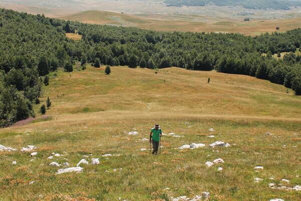 Vatanımızı tanıyalım: Dažnik ve Ostrvica