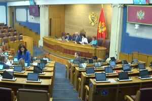 Stanišić izabran za zamjenika generalnog sekretara Skupštine, svi...