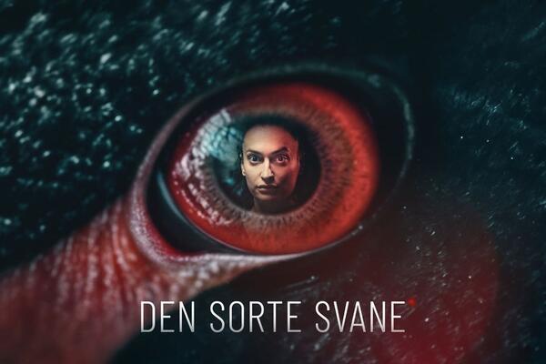 Korupcija, pranje novca, visoka umjetnost