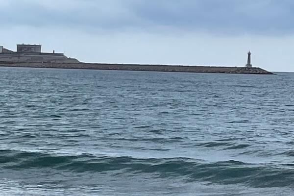 Potcijenjene profesije