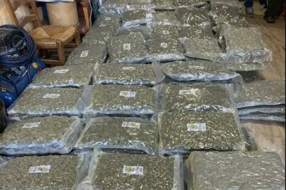 Zaplijenjena marihuana, Foto: Europol