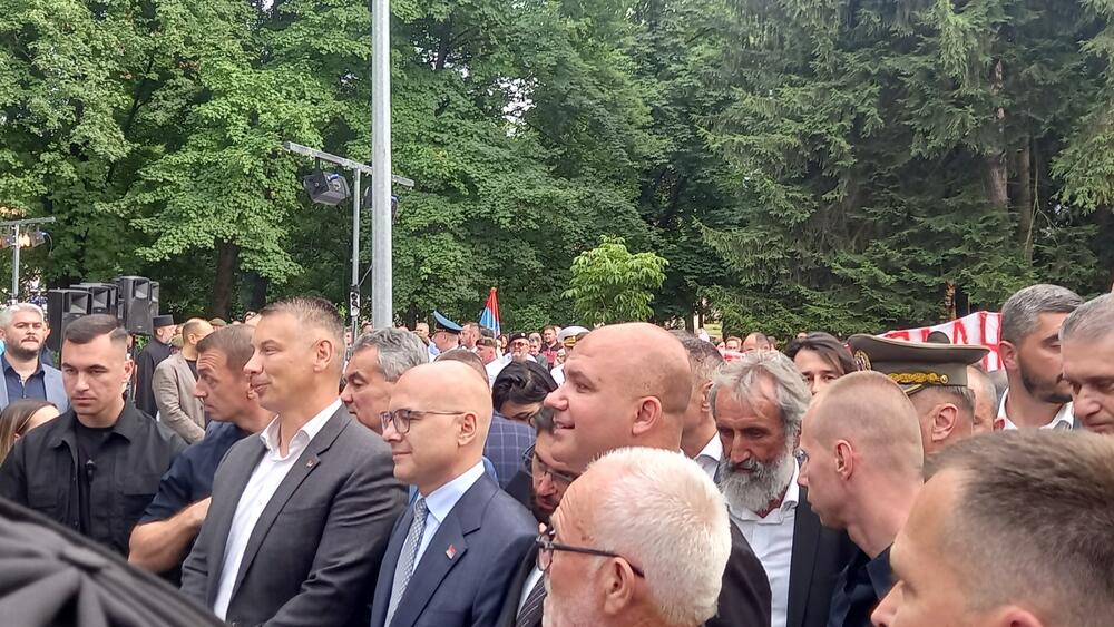 Miloš Vučević, Nenad Nešić, Dario Vraneš