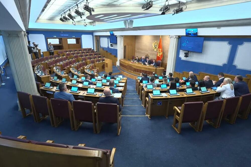 Detalj iz Skupštine, Foto: Printscreen YouTube