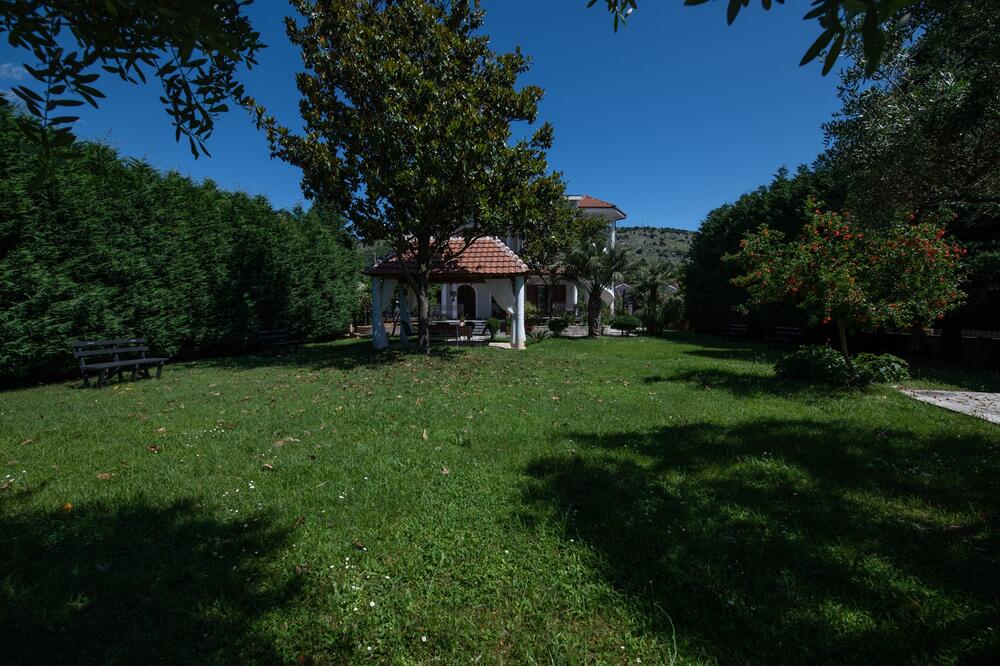 <p><em>''Gimnazija Podgorica'' raspisala je konkurs za upis u sve razrede.</em></p>