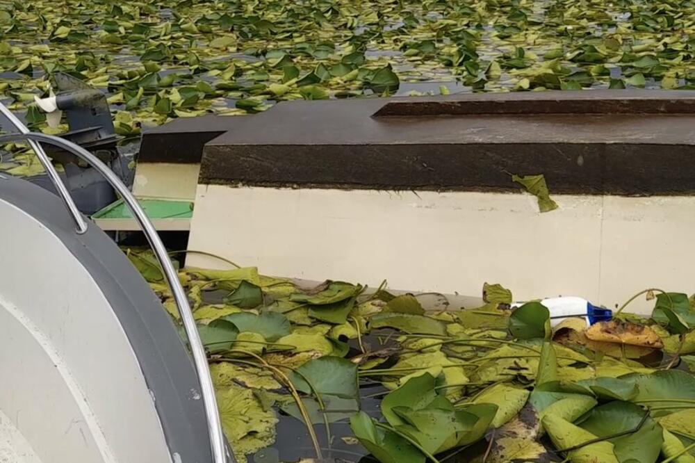 Ilustracija, Foto: NP Skadarsko jezero