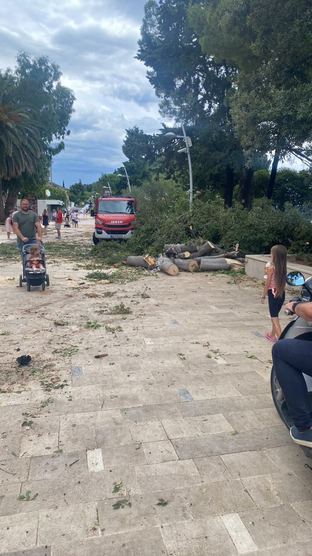 <p>Iz TQ Plaze u Budvi kažu da je stanje gore nego prije rekonstrukcije ulice 22. novembra. Nevrijeme nije poštedjelo ni Podgoricu, gdje oborene grane sa drveća otežavaju saobraćaj duž gotovo cijelog Bulevara Svetog Petra Cetinjskog.</p>