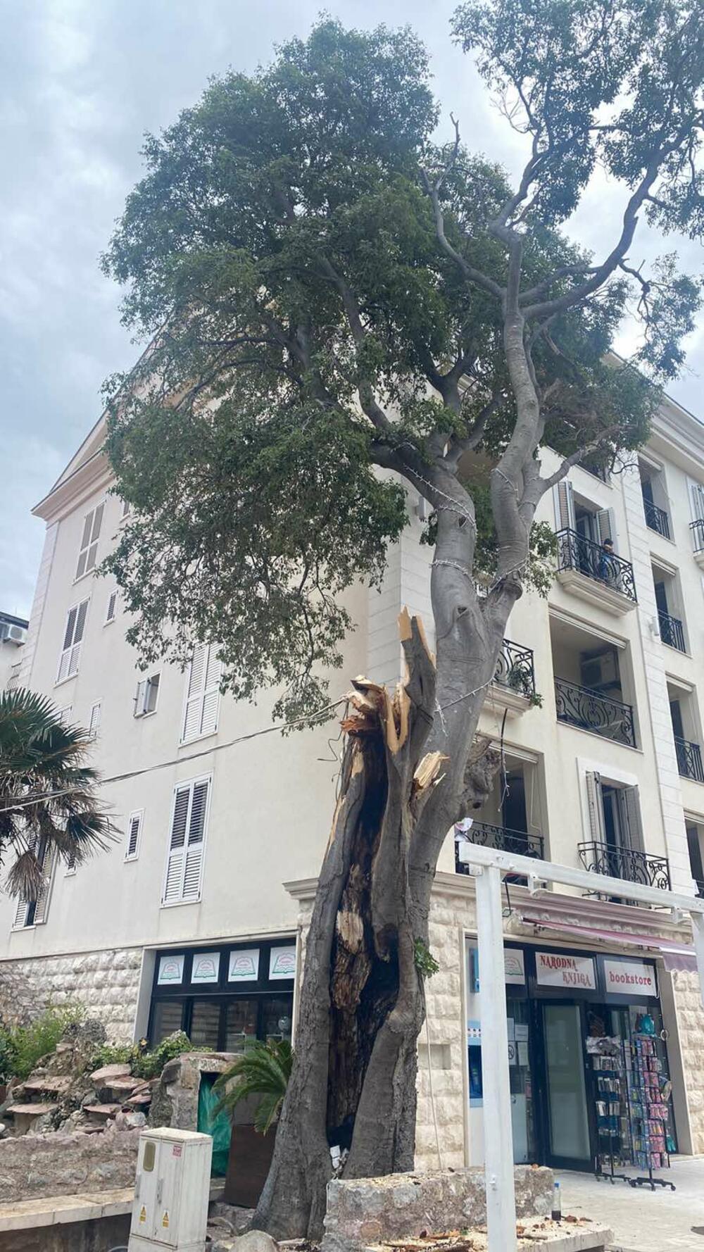 <p>Iz TQ Plaze u Budvi kažu da je stanje gore nego prije rekonstrukcije ulice 22. novembra. Nevrijeme nije poštedjelo ni Podgoricu, gdje oborene grane sa drveća otežavaju saobraćaj duž gotovo cijelog Bulevara Svetog Petra Cetinjskog.</p>