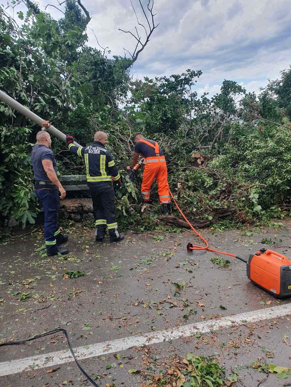 <p>Iz TQ Plaze u Budvi kažu da je stanje gore nego prije rekonstrukcije ulice 22. novembra. Nevrijeme nije poštedjelo ni Podgoricu, gdje oborene grane sa drveća otežavaju saobraćaj duž gotovo cijelog Bulevara Svetog Petra Cetinjskog.</p>