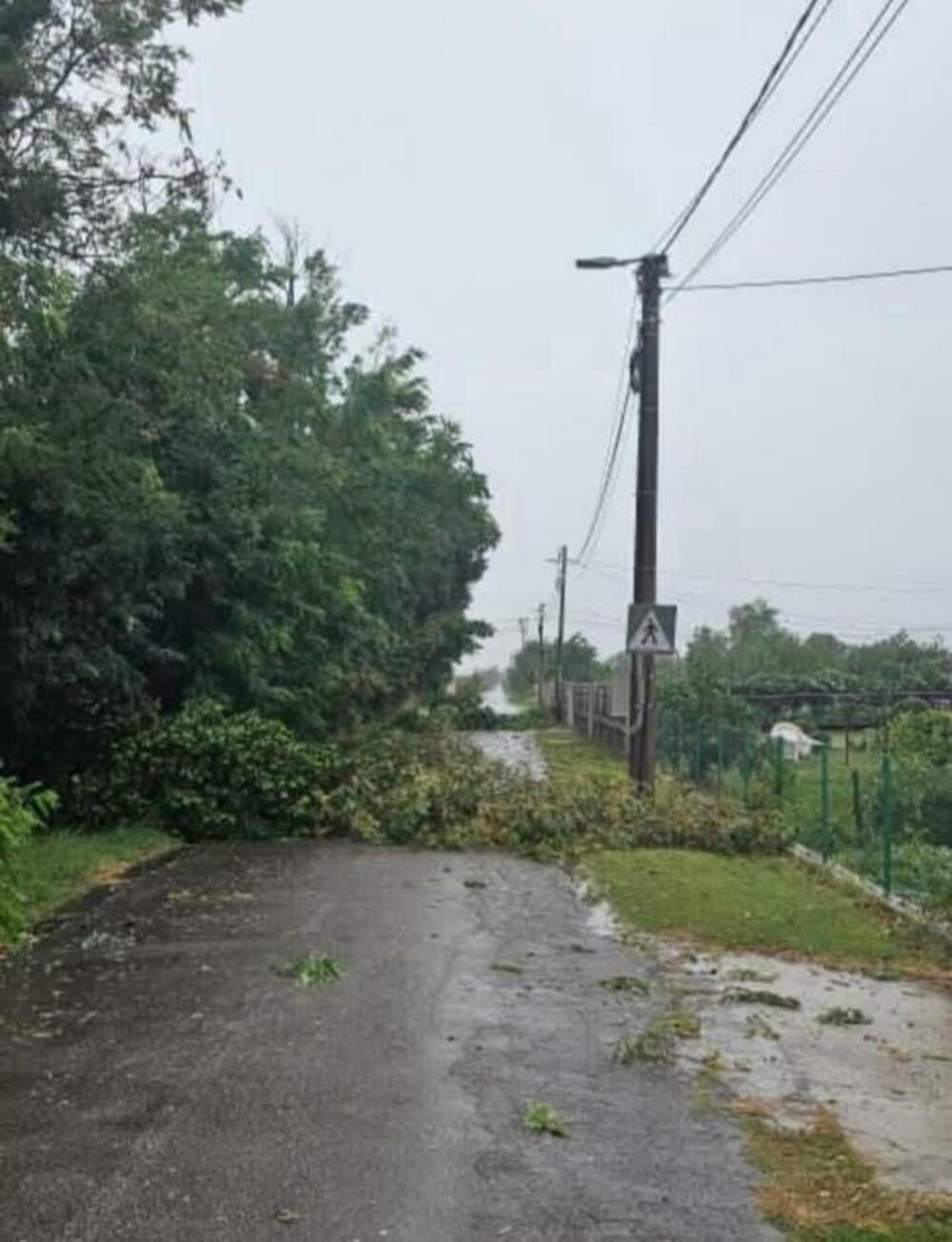 <p>"Podsjećamo građane da su opštinske službe u obavezi da odmah izađu na lice mjesta i utvrde i kvantifikuju štetu, da zapisnike proslijede vladinoj komisiji koja treba da odredi iznos obeštećenja a da opština ima mogućnost da i sama, iz budžetske rezerve, u mjeri mogućeg obešteti sve koji su pretrpjeli štetu"</p>