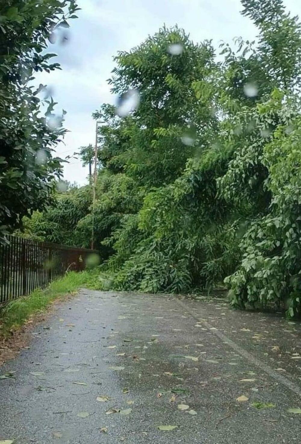 <p>"Podsjećamo građane da su opštinske službe u obavezi da odmah izađu na lice mjesta i utvrde i kvantifikuju štetu, da zapisnike proslijede vladinoj komisiji koja treba da odredi iznos obeštećenja a da opština ima mogućnost da i sama, iz budžetske rezerve, u mjeri mogućeg obešteti sve koji su pretrpjeli štetu"</p>