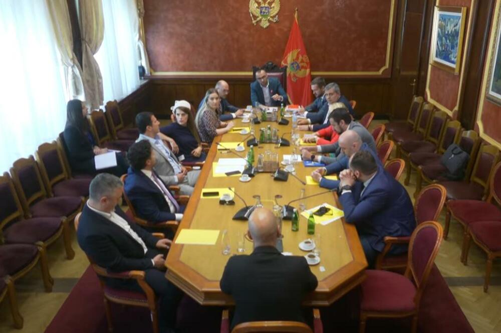 Sa sjednice, Foto: Skupština Crne Gore/Youtube