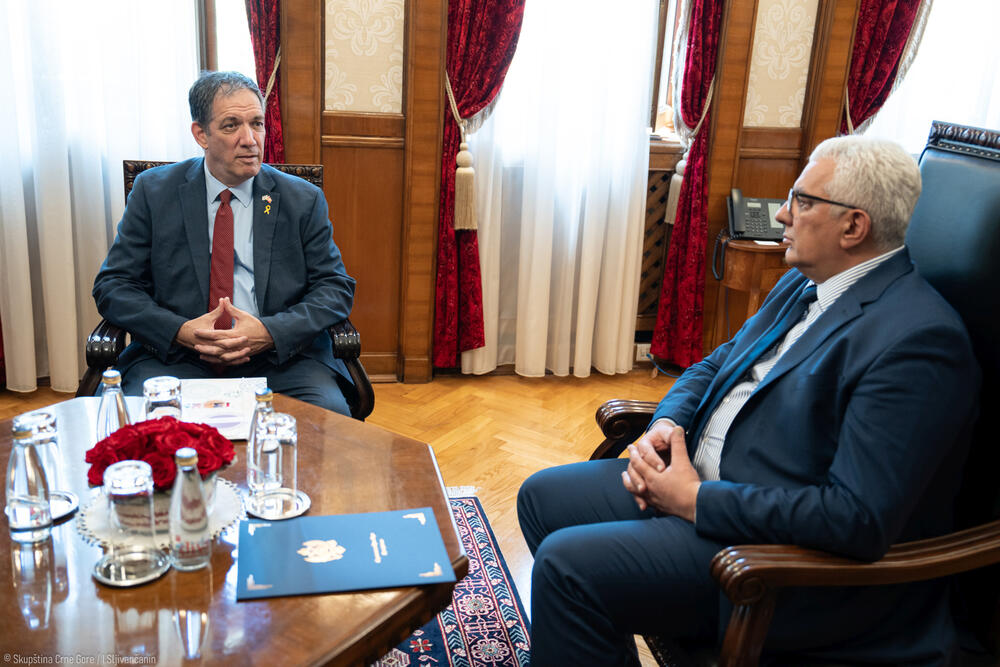 Jahel Vilan, Andrija Mandić