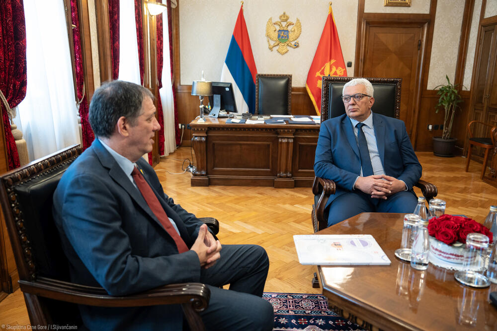 Jahel Vilan, Andrija Mandić