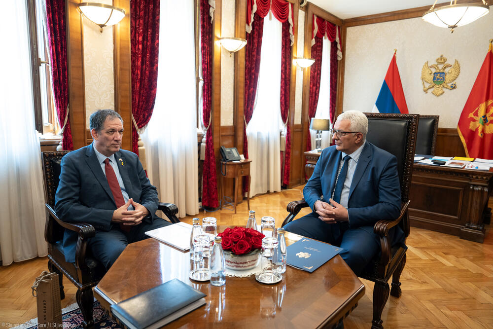 Jahel Vilan, Andrija Mandić